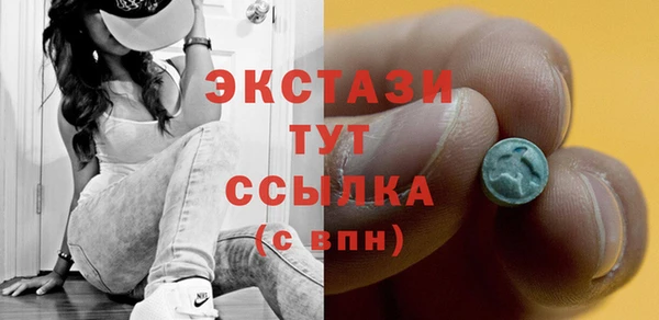 гашик Пересвет