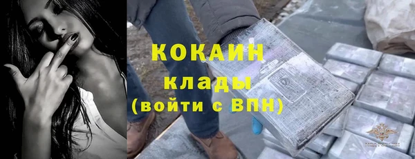 гашик Пересвет