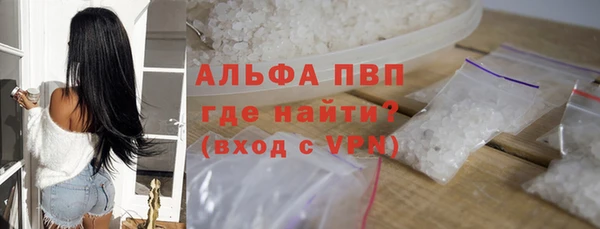 гашик Пересвет