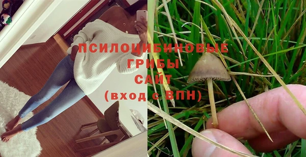 дживик Покачи