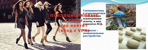 дживик Покров