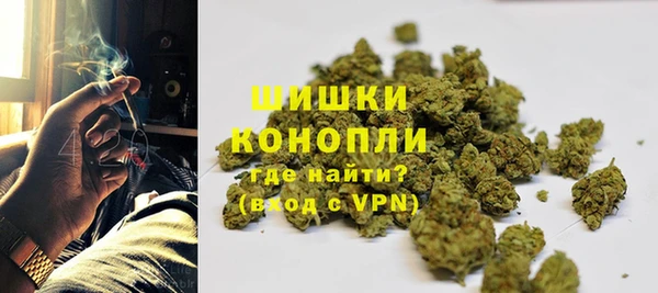 гашик Пересвет