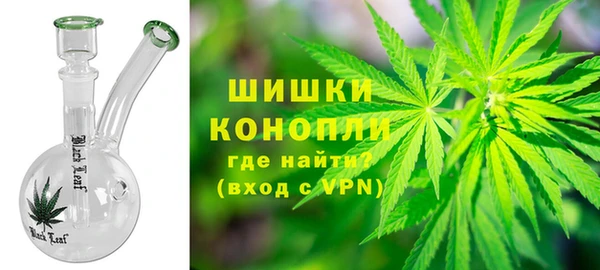 гашик Пересвет