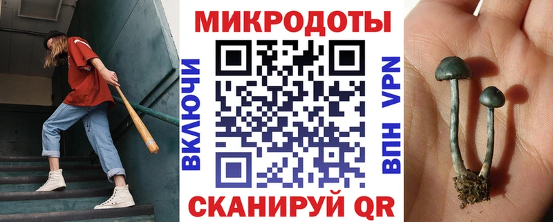shop формула  Краснозаводск  Галлюциногенные грибы Psilocybine cubensis  цена  
